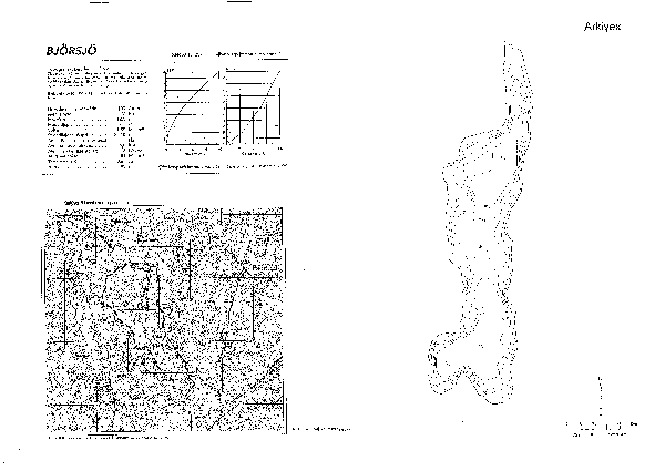 Djupkarta för Björsjö i Falkenberg — Björsjö — blad 3-6402 (SMHI Vattenwebb)