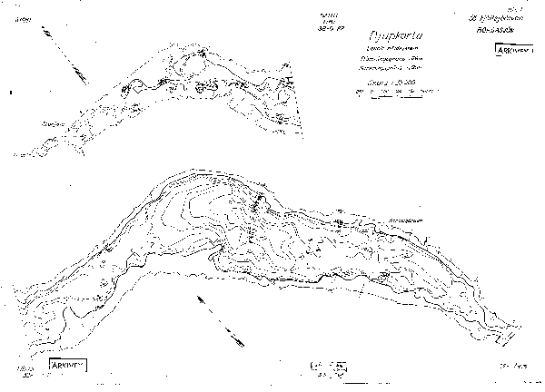 Djupkarta för Borgasjön — Borgasjön — blad 3-0193 (SMHI Vattenwebb)