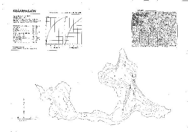 Djupkarta för Bråarpasjön — Bråarpasjön — blad 2-0930 (SMHI Vattenwebb)