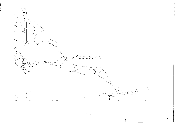 Djupkarta för Fågelsjön i Strömsund — Fågelsjön — blad 1-0025 (SMHI Vattenwebb)