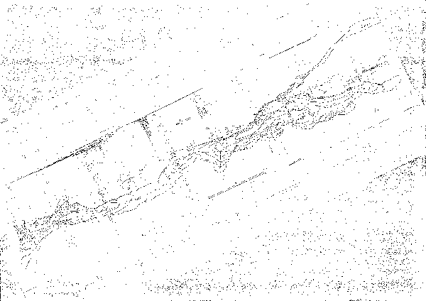 Djupkarta för Garnsviken — Garnsviken — blad 5-0221 (SMHI Vattenwebb)
