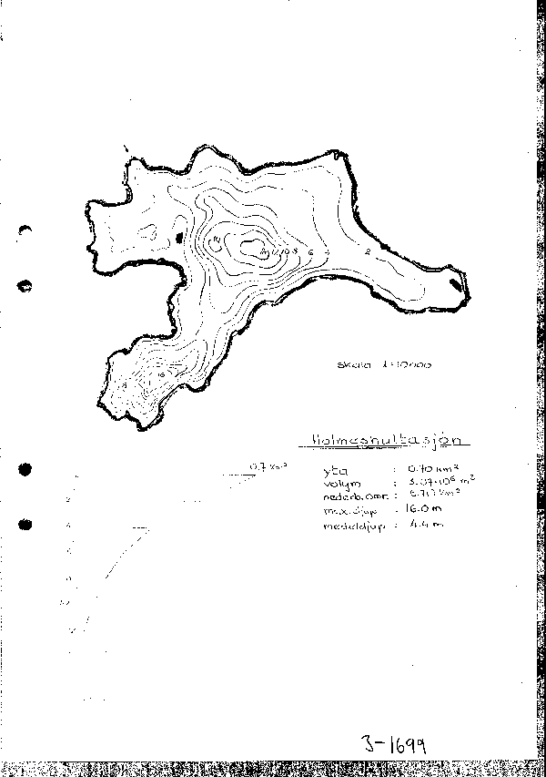 Djupkarta för Holmeshultasjön — Holmeshultasjön — blad 3-1699 (SMHI Vattenwebb)