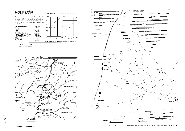 Djupkarta för Holmsjön i Falkenberg — Holmsjön — blad 3-6703 (SMHI Vattenwebb)
