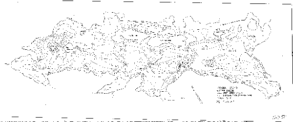 Djupkarta för Navarn — SMHI Vattenwebb