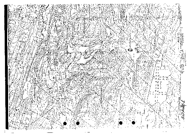 Djupkarta för Nässjön i Sundsvall — Nässjön — blad 5-0394 (SMHI Vattenwebb)