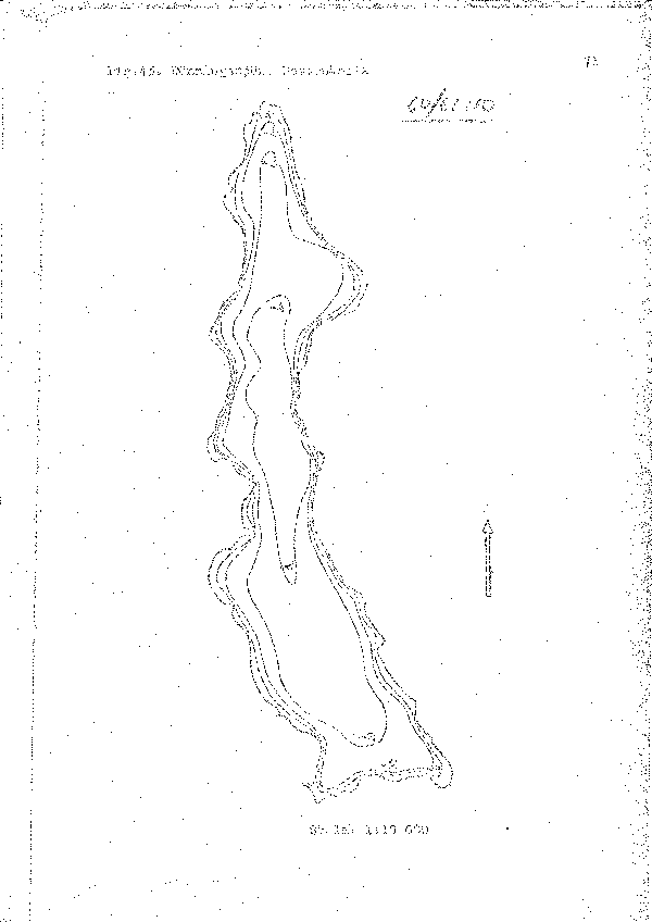 Djupkarta för Rönningesjön — Rönningesjön — blad 3-0297 (SMHI Vattenwebb)