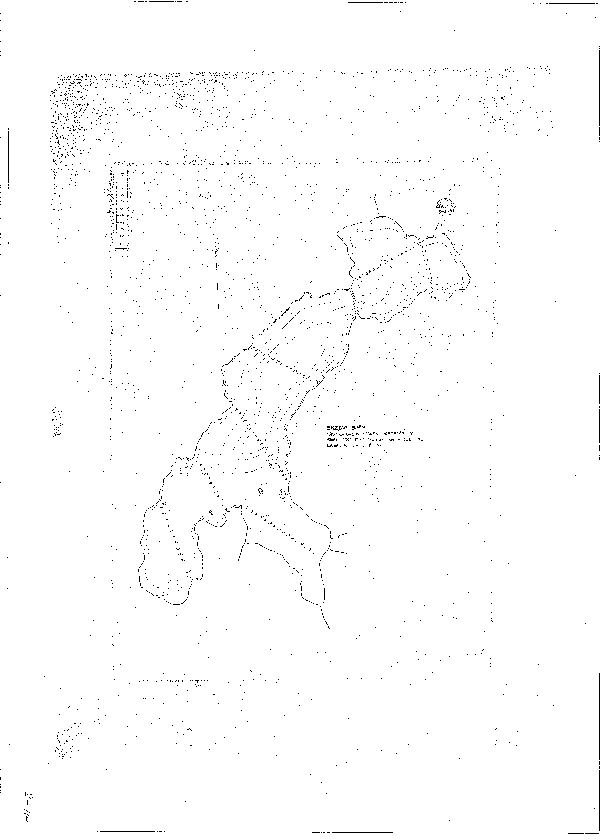 Djupkarta för Skedvisjön — Skedvisjön — blad 2-0114 (SMHI Vattenwebb)