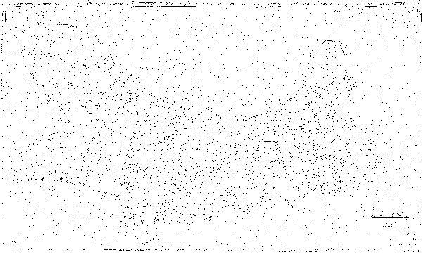Djupkarta för Stor-Stensjön i Krokom — Stor-Stensjön — blad 0-0029 (SMHI Vattenwebb)