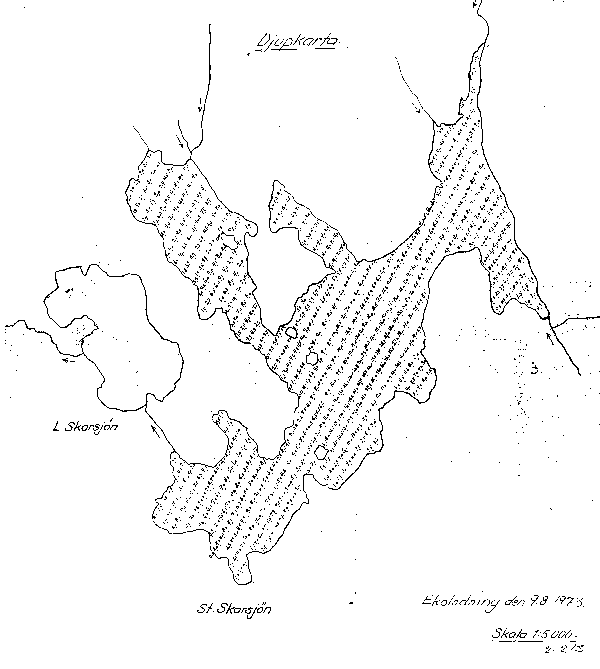 Djupkarta för Stora Skarsjön — Stora Skarsjön — blad 2-0213 (SMHI Vattenwebb)