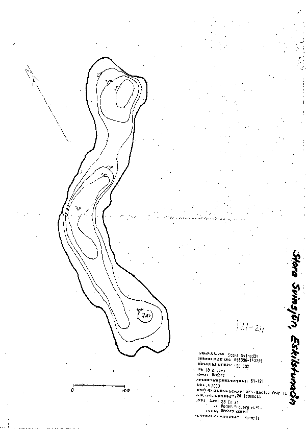 Djupkarta för Stora Svinsjön — Stora Svinsjön — blad 2-0491 (SMHI Vattenwebb)