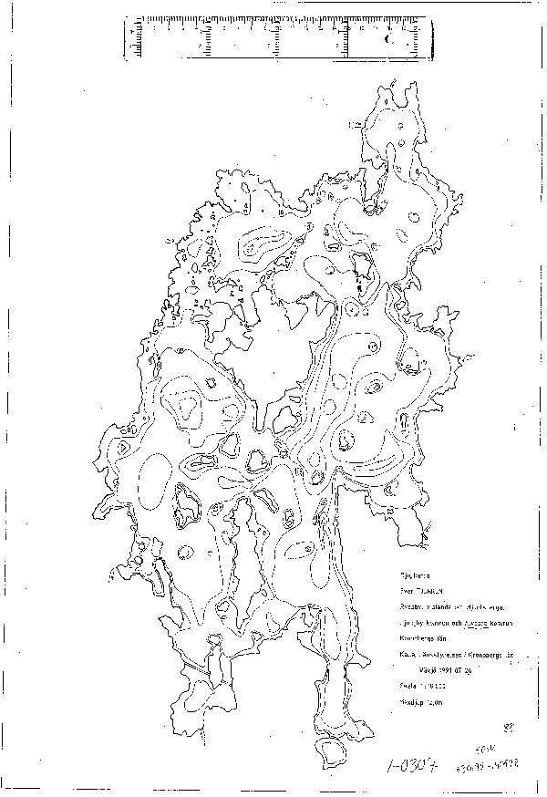 Djupkarta för Tjurken