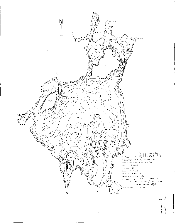 Djupkarta för Älgsjön i Arvika — Älgsjön — blad 1-0260 (SMHI Vattenwebb)