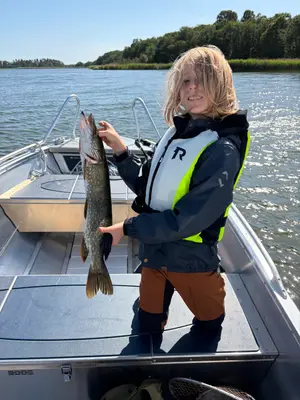 Gädda 65 cm — Bredasund