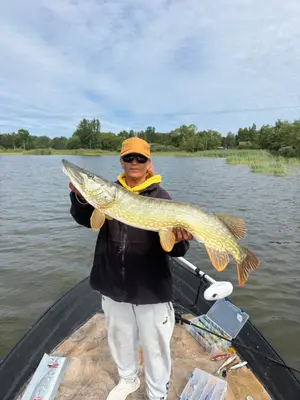 Gädda 94 cm — Gällfjärden