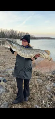 Gädda 108 cm — Kallriga Fjärden