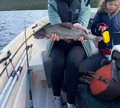 Harr 50 cm — Stor-Tjulträsket