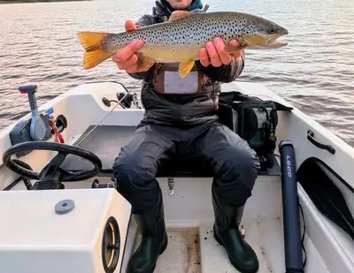 Öring 50 cm — Stor-Tjulträsket